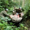 Extreme Jungle Quad Challenge
