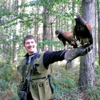 Falconry Derbyshire