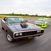 Fast and Furious Experience