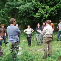 Foraging Adventure