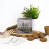 Grow your Own - Terrarium Plants
