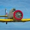Harvard Flight Duxford