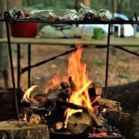 Island Canoeing and Foraging Day