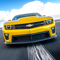 Junior Bumblebee