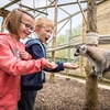 Junior Zoo Keeper for Two Shropshire