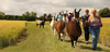 Llama Trekking Northants