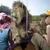 London Zoo & Meal for Two