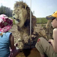 London Zoo & Meal for Two