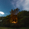 Luxury Treehouse Break