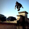 Parkour Training