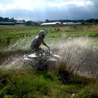 Quads in Dorset