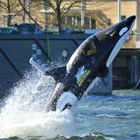Seabreacher Experience