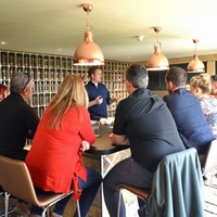 Tea Tasting Experience