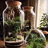 Terrarium Masterclass London