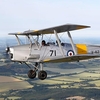 Tiger Moth Lessons North Weald