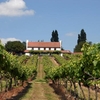 Tour Tasting and Lunch for Two