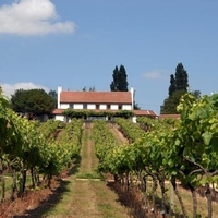 Tour Tasting and Lunch for Two