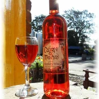 Vineyard Tour & Lunch for Two