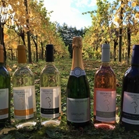 Wine Tours in Cambridgeshire