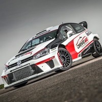 WRC Driving Experience