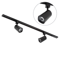 1 metre Track Light Kit with 2 Strand Heads and Integrated LED - Black