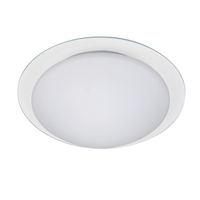 Aida Double Glass Flush Ceiling Light