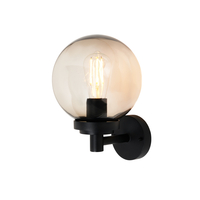 Alod Globe Outdoor Wall Light with Smoke Shade - Black