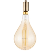 Anton Ceiling Pendant with Oversized Bulb - Antique Brass