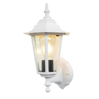 Arun 1 Light Outdoor Wall Light - White