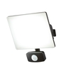 Arvid 30 Watt LED Slimline Outdoor Flood Light with PIR Sensor - Black