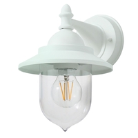 Bacup Outdoor 1 Light Industrial Fisherman Style Lantern Wall Light - Mint Green