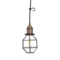 Beca Plug In Cable Ceiling Pendant Light Kit - Black & Copper