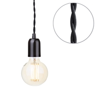 Black Braided Cable Kit with Gold Tint 6 Watt LED Filament Globe Light Bulb - Black