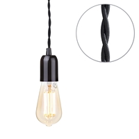 Black Braided Cable Kit with Gold Tint 6 Watt LED Filament Teardrop Light Bulb - Black