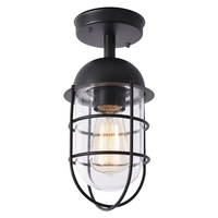 Cari 1 Light Caged Outdoor Lantern - Black