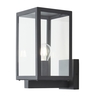 Cetus Glass Panel Outdoor Wall Light - Anthracite