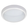 Circular LED Opal Flush Ceiling or Wall Light - White
