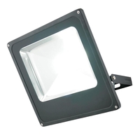 Cordelia Large 1 Light Outdoor LED Slim Line Flood Light - Black