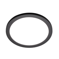Darly 24 Watt LED Flush Ceiling or Wall Light - Satin Black