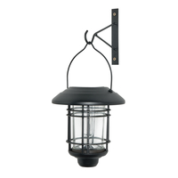 Delonix Outdoor Solar LED Hanging Wall Light - Black