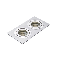 Evra Double Rectangle Adjustable Recessed Downlighter - Silver