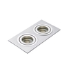 Evra Double Rectangle Adjustable Recessed Downlighter - Silver