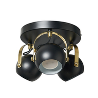 Eyeball 3 Light Adjustable Ceiling Spotlight Plate - Black & Brass