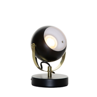 Eyeball Table Lamp - Matte Black and Satin Brass