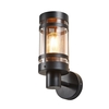Fowler 1 Light Outdoor Wall Light with Brass Mesh - Black