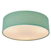 Glow Flush Ceiling Light - Mint Green