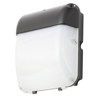 Horton Outdoor LED 30 Watt Wall Bulkhead - Black