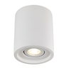 Keen Tiltable Ceiling Downlight - White