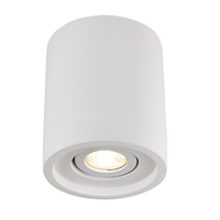 Keen Tiltable Ceiling Downlight - White