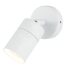 Kenn 1 Light Adjustable Outdoor Wall Light - White